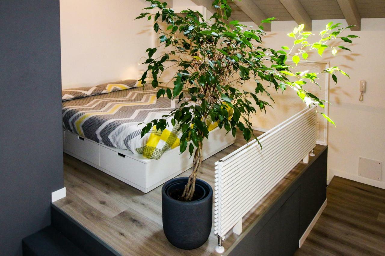 צ'יאוונה Sofi Apartment מראה חיצוני תמונה